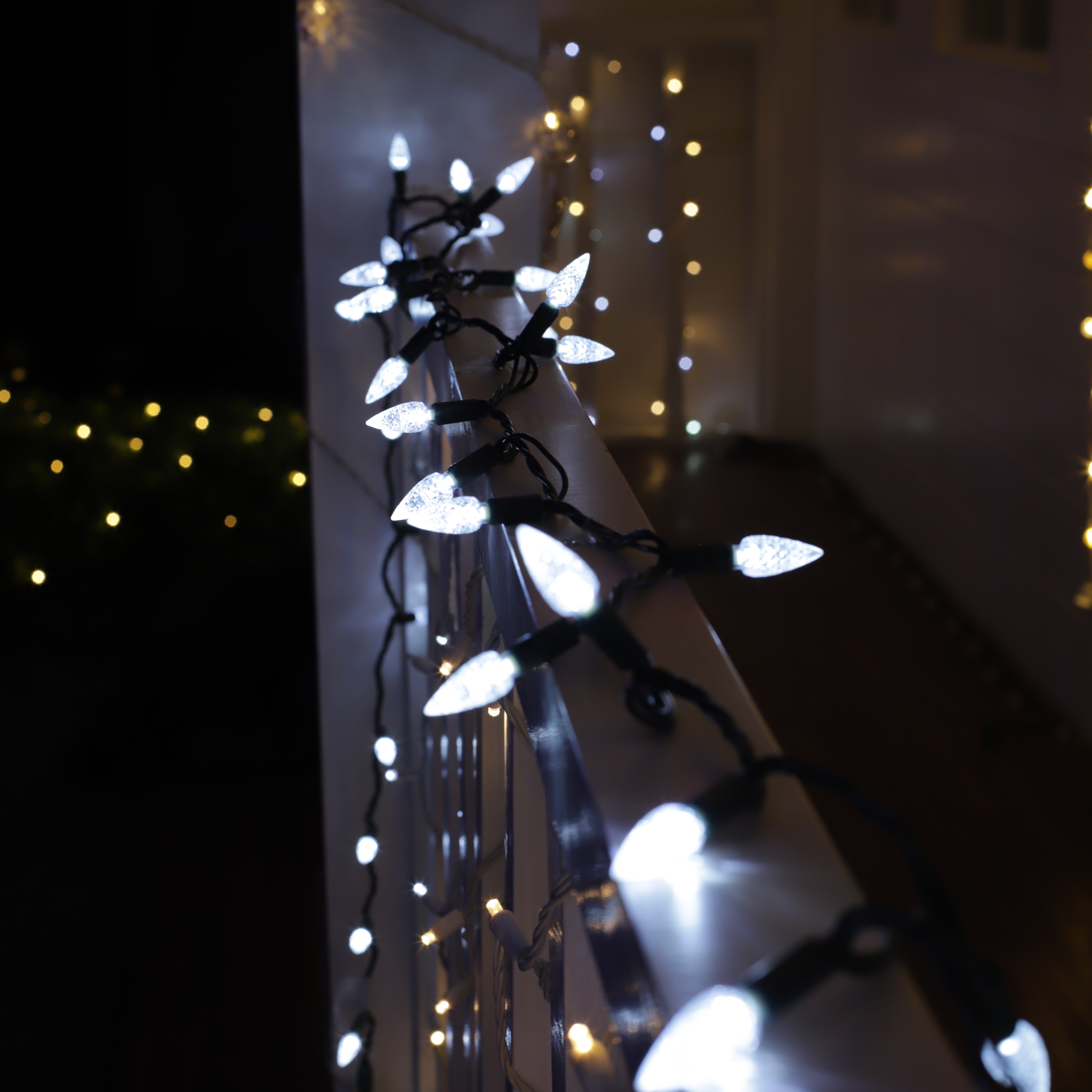 UL C6 Koud witte aardbei -LED -lichten