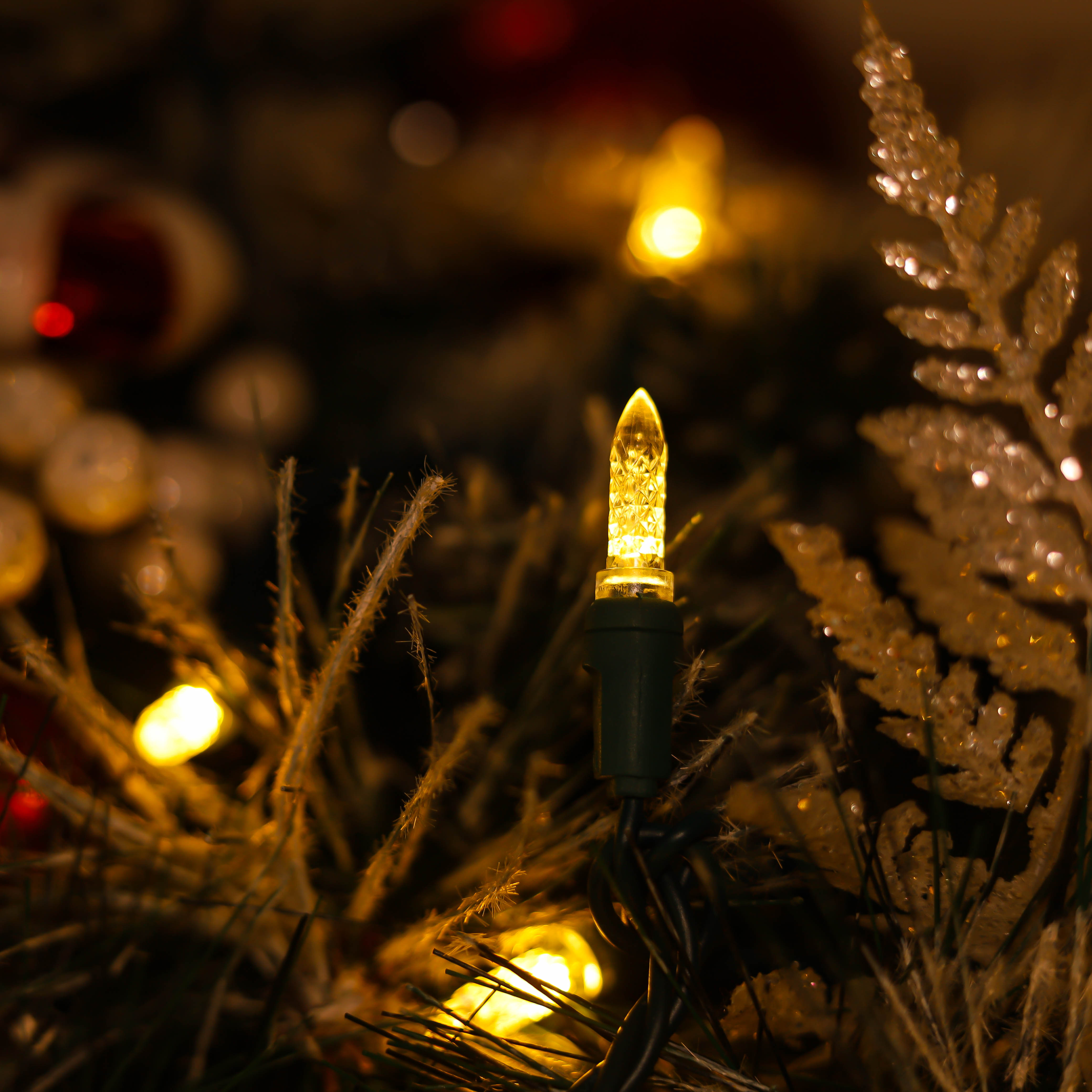 Warmwitte UL-gecertificeerde M5 LED-kerstverlichting