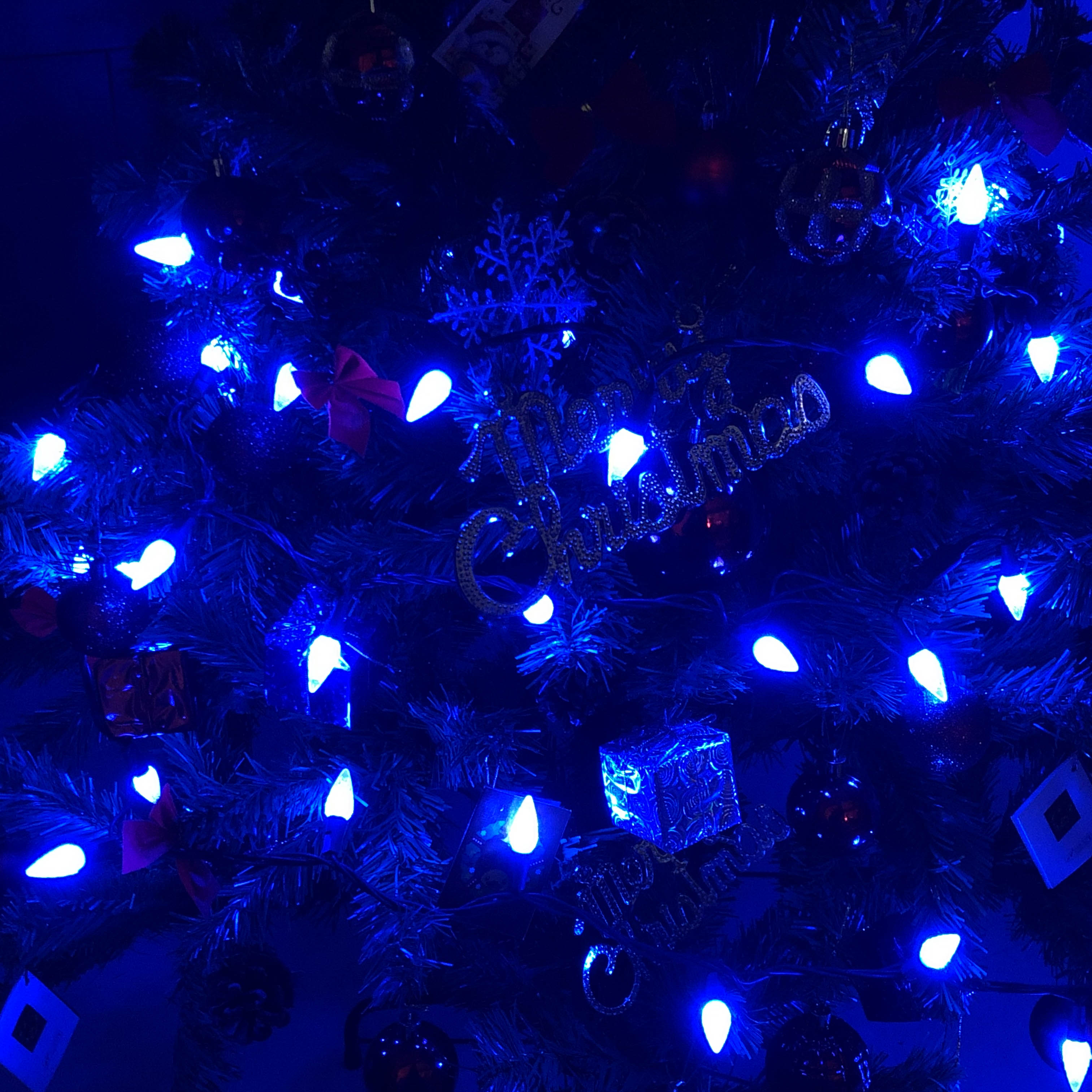 UL C6 blauwe aardbei kerstverlichting
