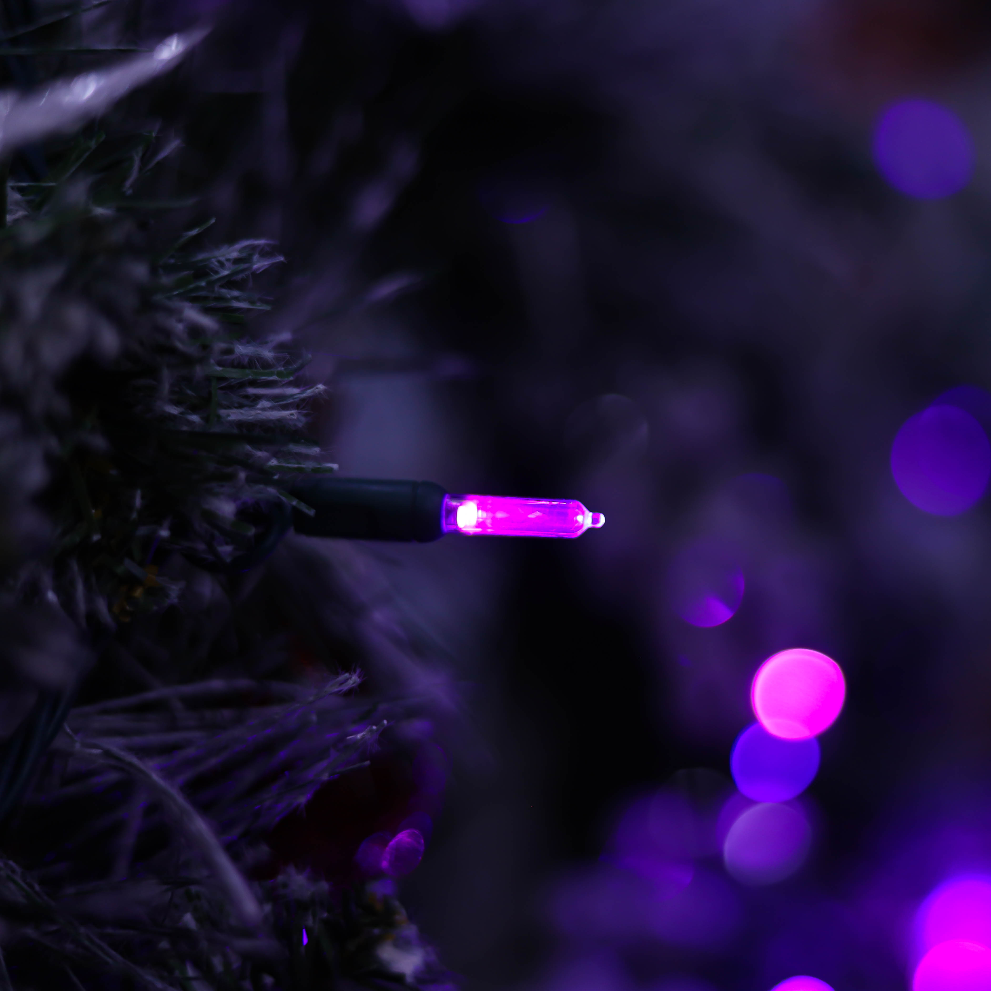 UL T5 LED-lichtslingers Paars kerstlicht Halloween-licht