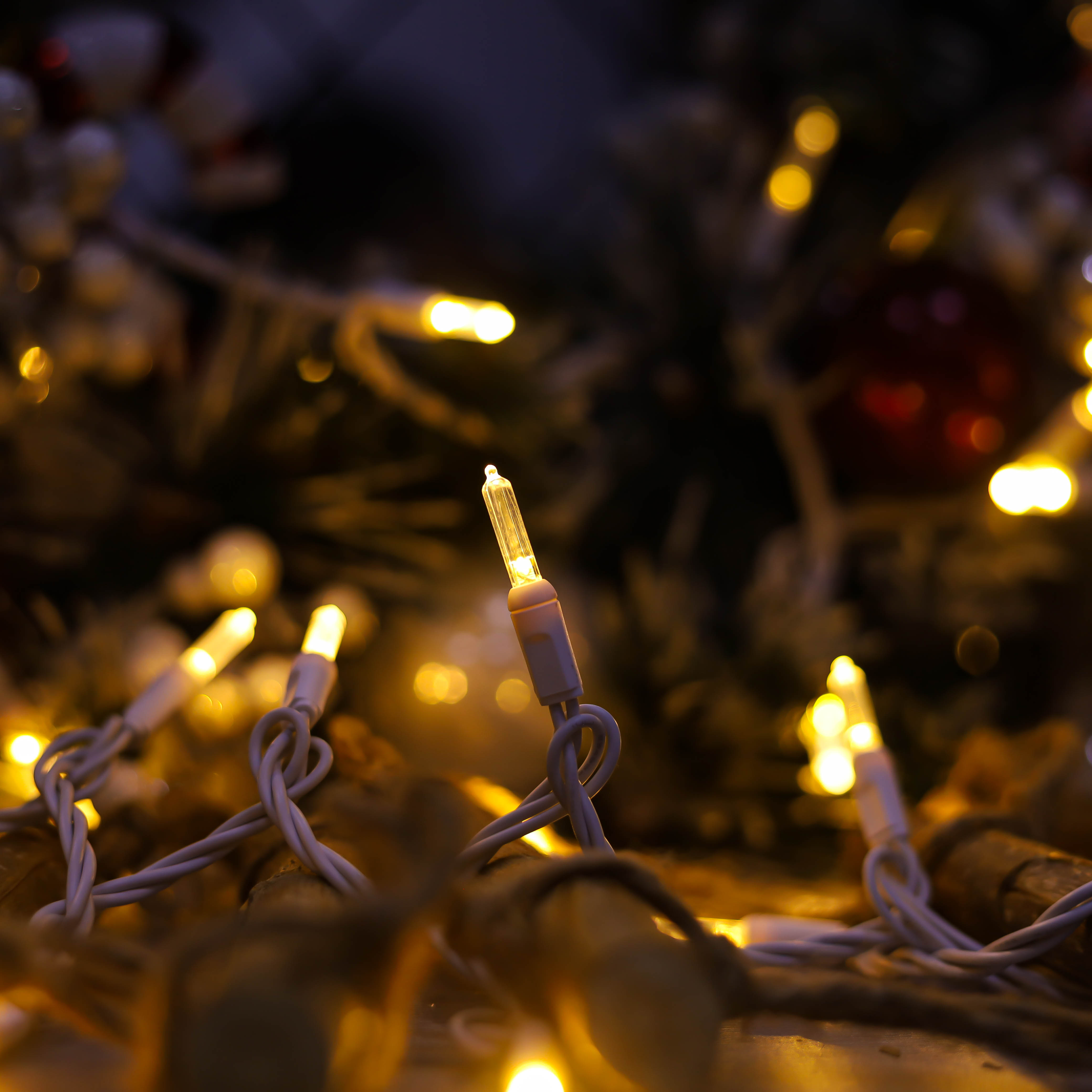 T5 Warm White UL Christmas Led Lights