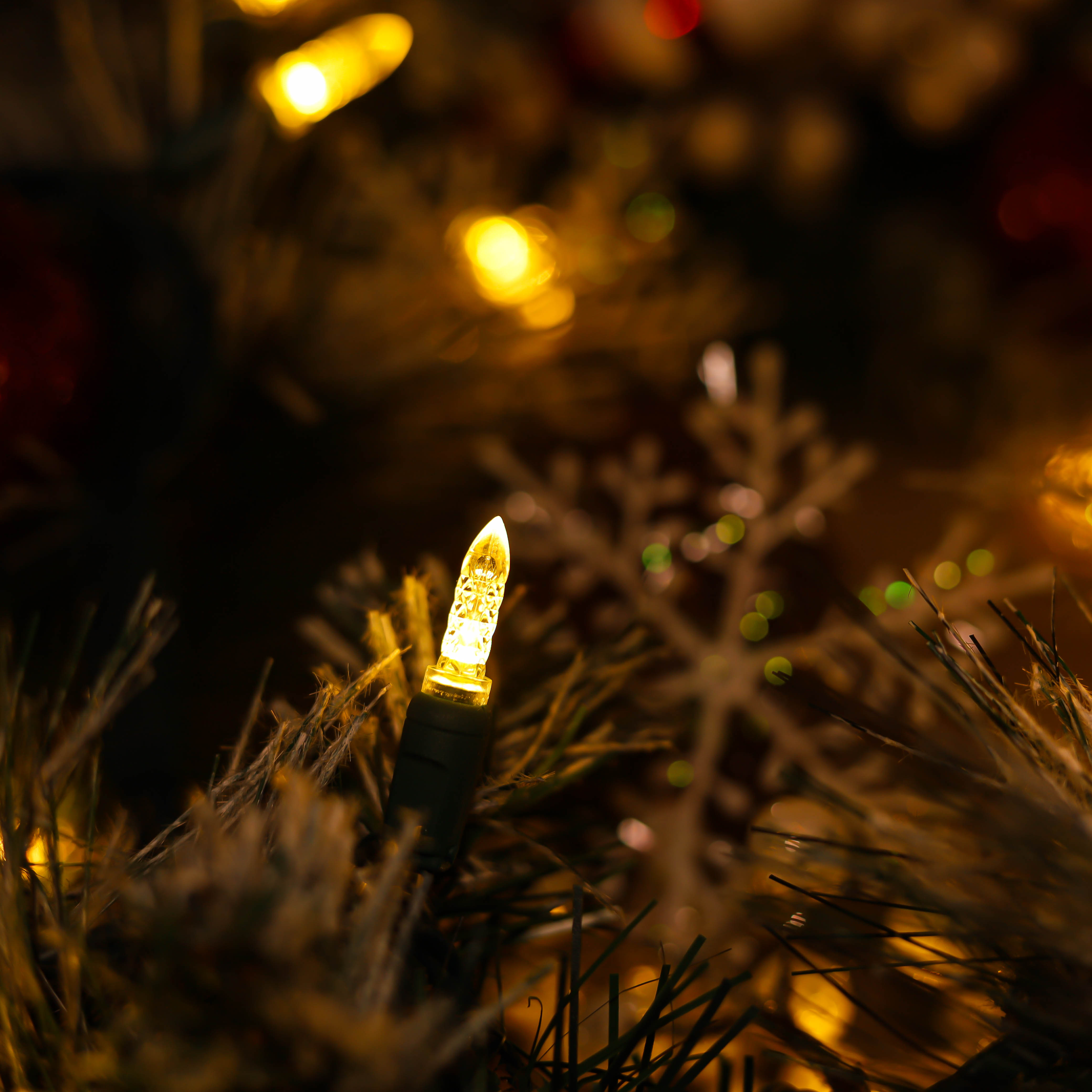 Warmwitte UL-gecertificeerde M5 LED-kerstverlichting